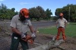 Safety Principles for Grounds Maintenance Workers