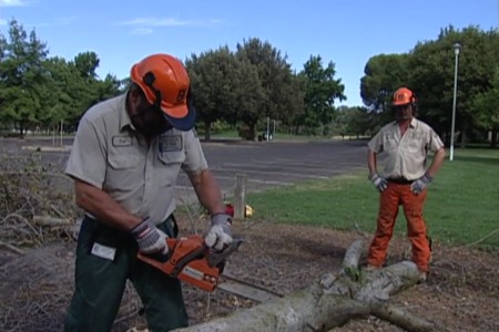 Safety Principles for Grounds Maintenance Workers