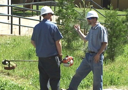 String Trimmer Safety