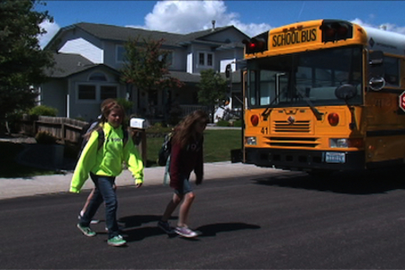 Driver's Guide to School Bus Crossing